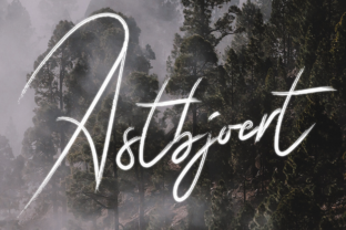 Astbjoert: A Bold, Hand-Brushed Font That Elevates Real Small Business Branding
